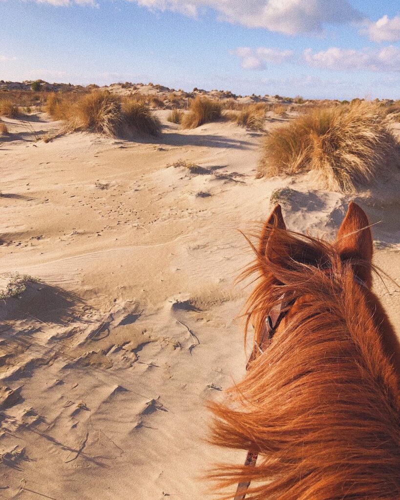 7d89794b 604d 4e32 bac3 d1d33996f25c 7d89794b 604d 4e32 bac3 d1d33996f25c