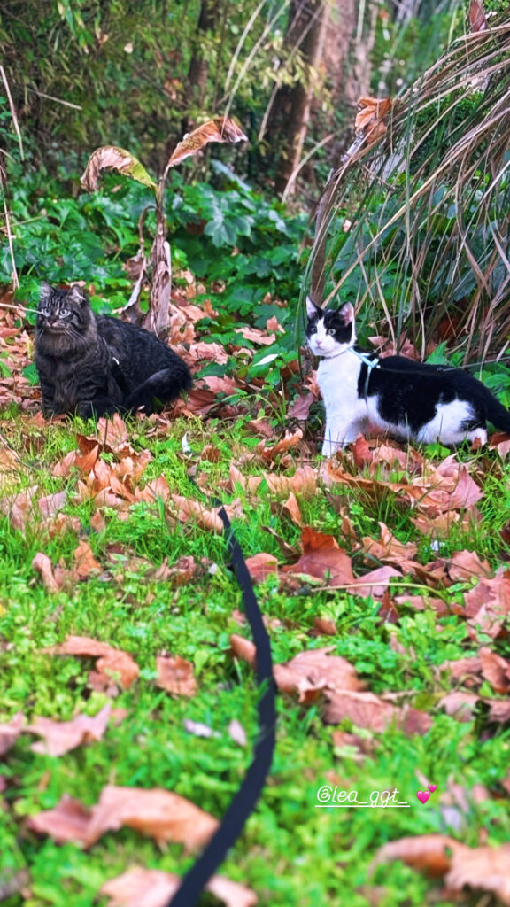 96d8712a 5e2d 46a0 84e6 82e172249719 96d8712a 5e2d 46a0 84e6 82e172249719