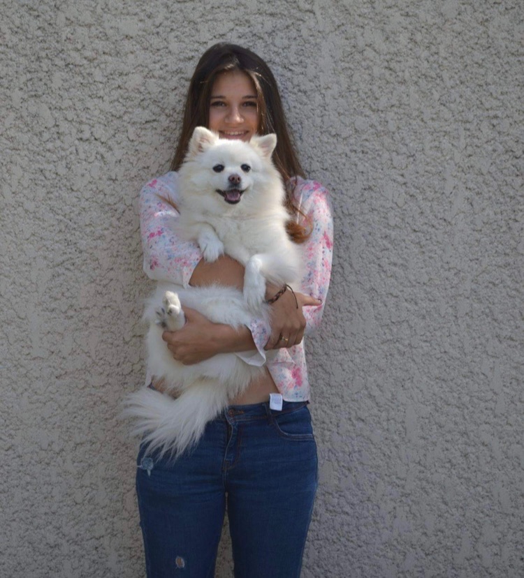 screenshot screenshot