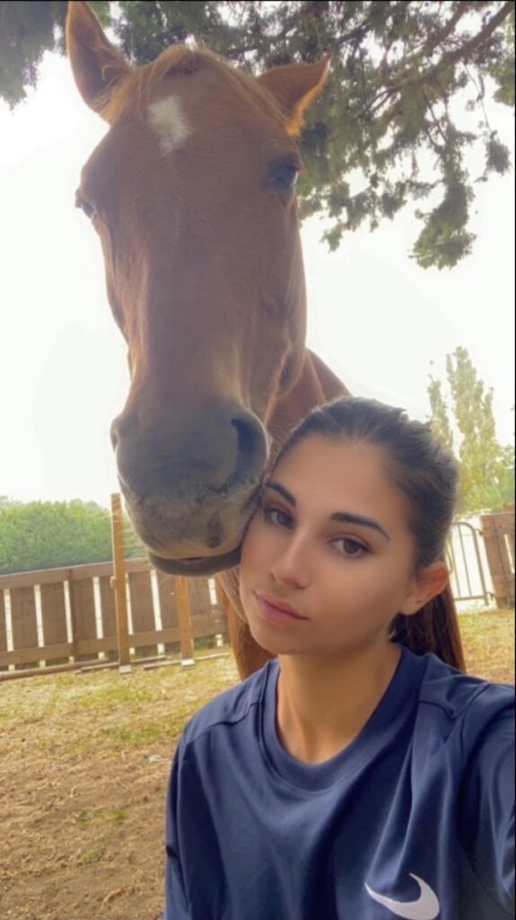 screenshot screenshot