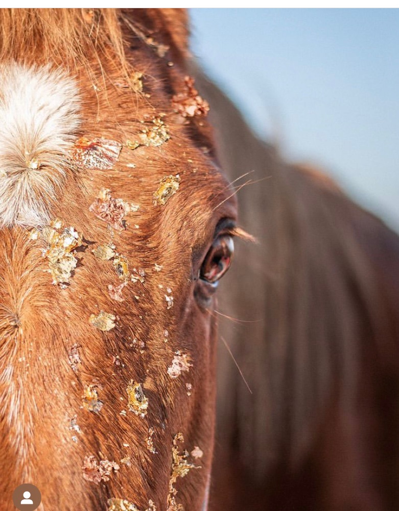 screenshot screenshot