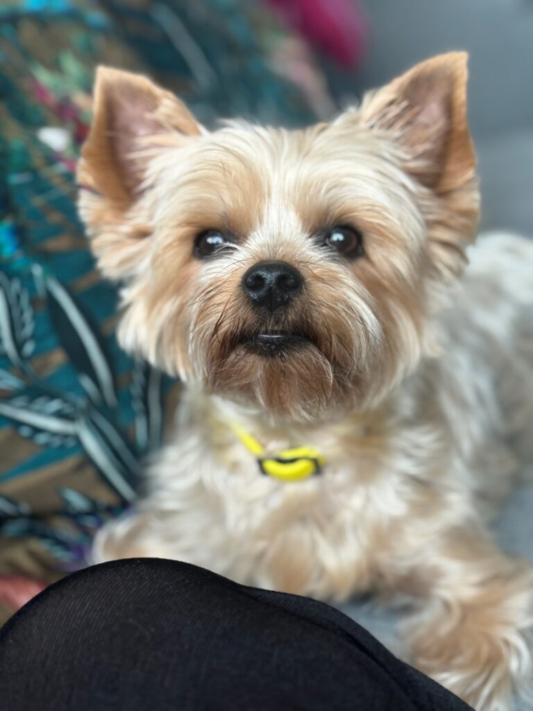 Photo homepages Homepage