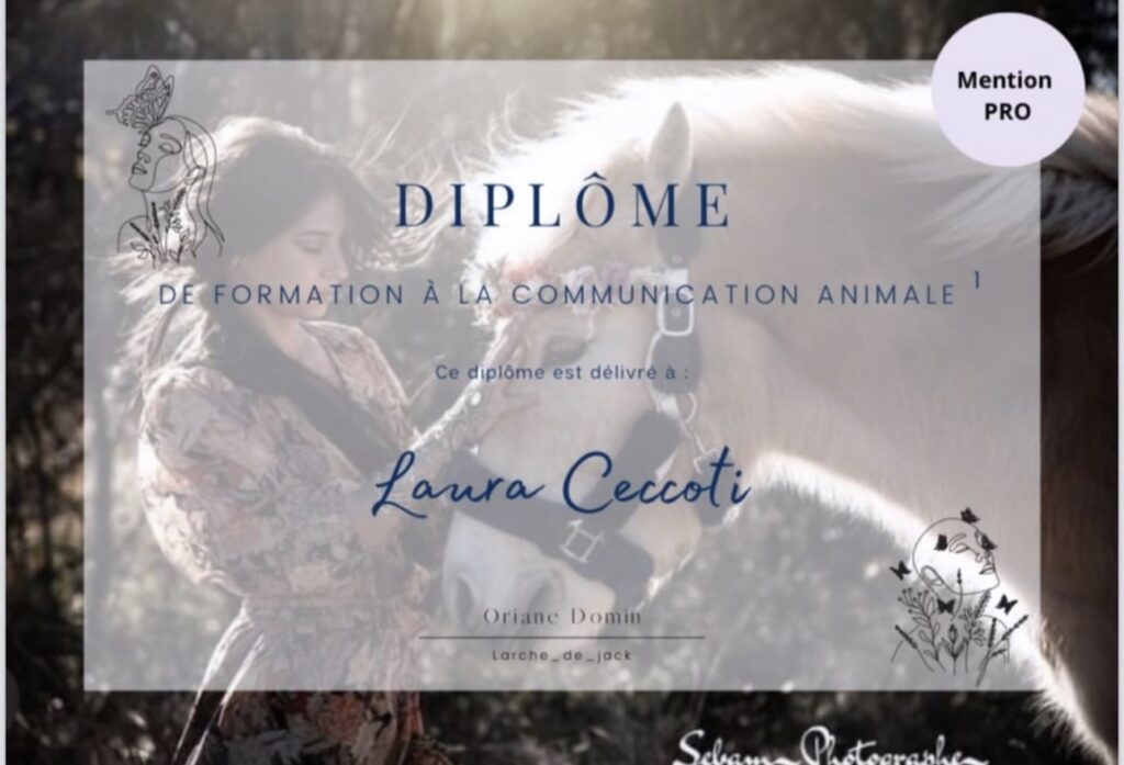 screenshot screenshot