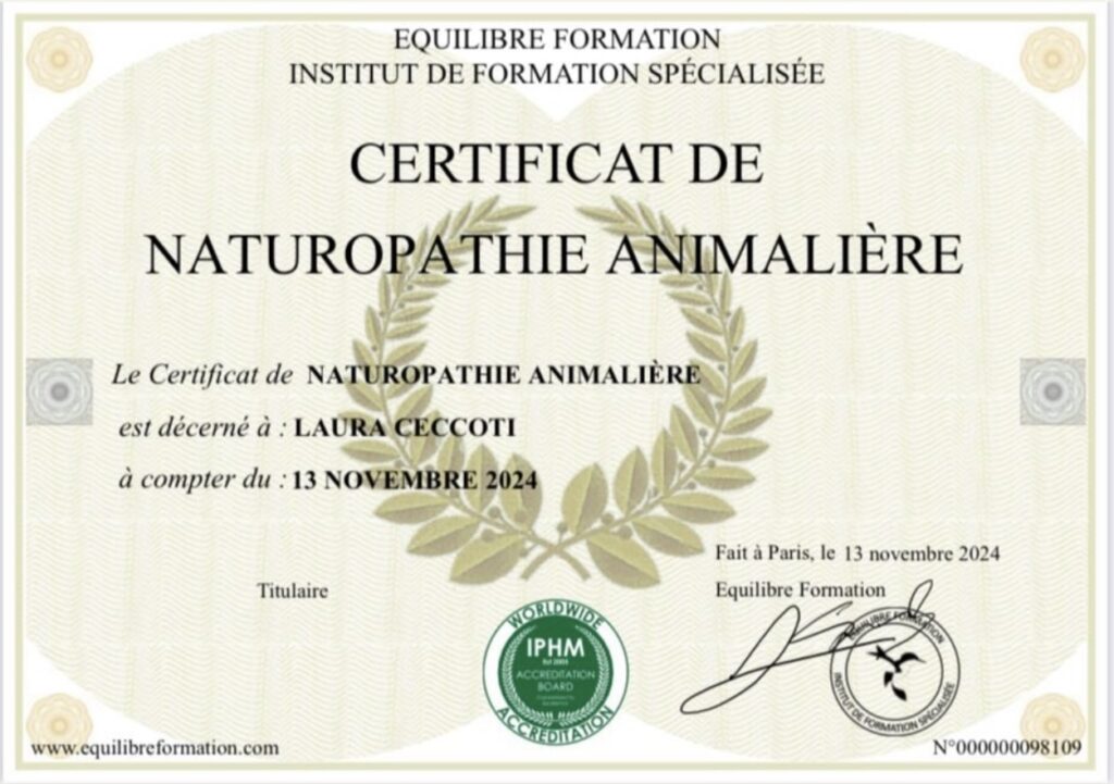 screenshot screenshot